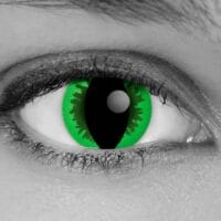 Green Reptile Lenses