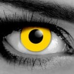 Zombie Yellow Lenses