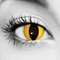 Yellow Cat Lenses